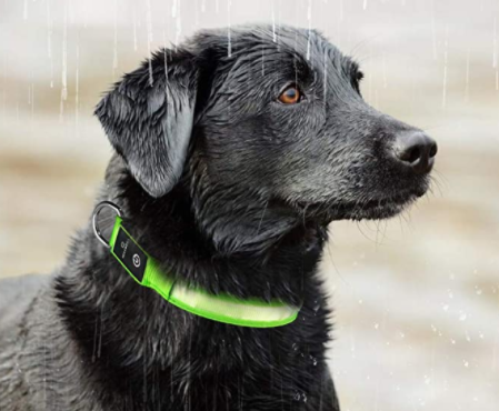 Dogsafe Pro for LED Collar for Dogs Feel Safe and Stylish While Walking