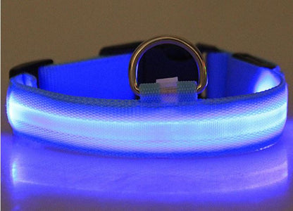 Dogsafe Pro for LED Collar for Dogs Feel Safe and Stylish While Walking
