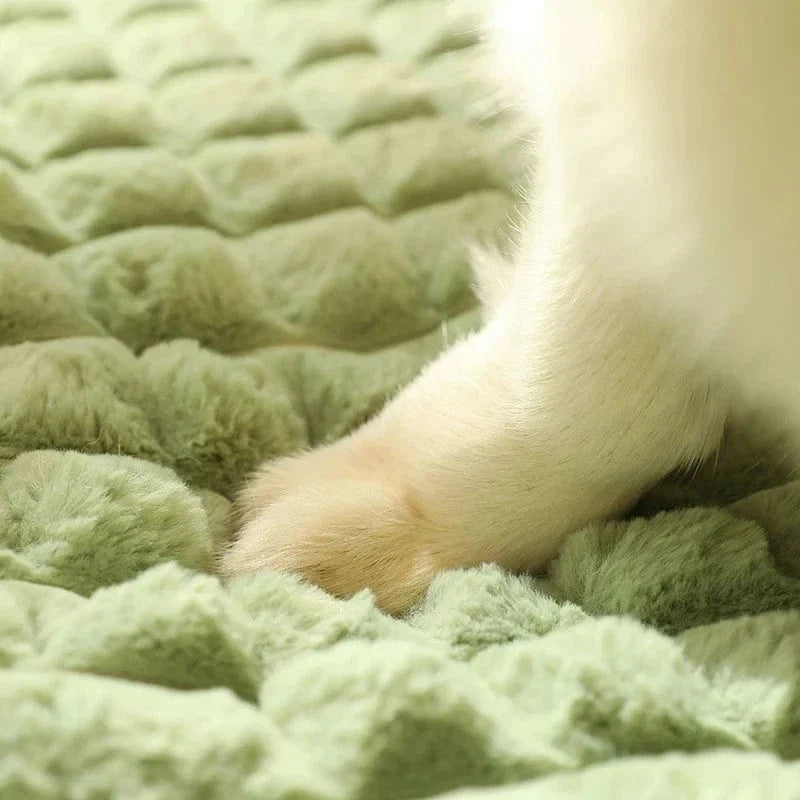 Petease for Comfortable Dog Bed