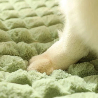 Petease for Comfortable Dog Bed
