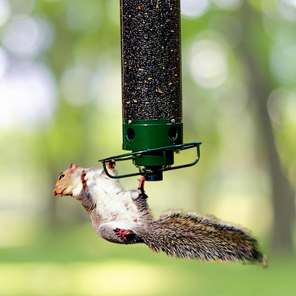 Squirrel-Proof Bird Feeder for Gardens with Large Seed Reservoir