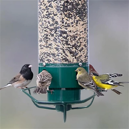 Squirrel-Proof Bird Feeder for Gardens with Large Seed Reservoir