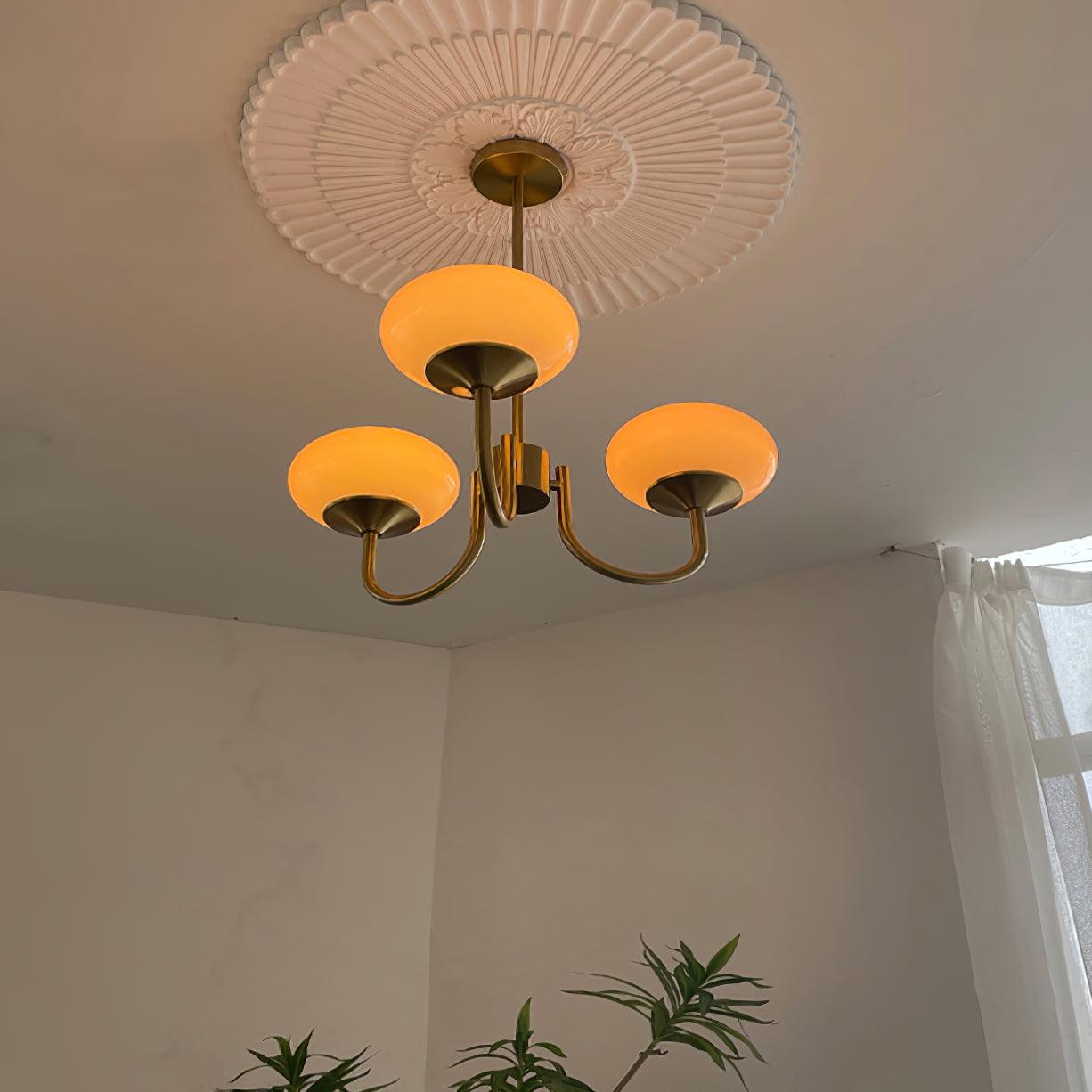 Light with Elegant Circle Pendant Lamp for a Subtle Addition to Any Interior