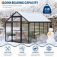 Polycarbonate greenhouse for outdoors in a backyard garden