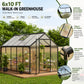 6x10 FT outdoor greenhouse with polycarbonate panels