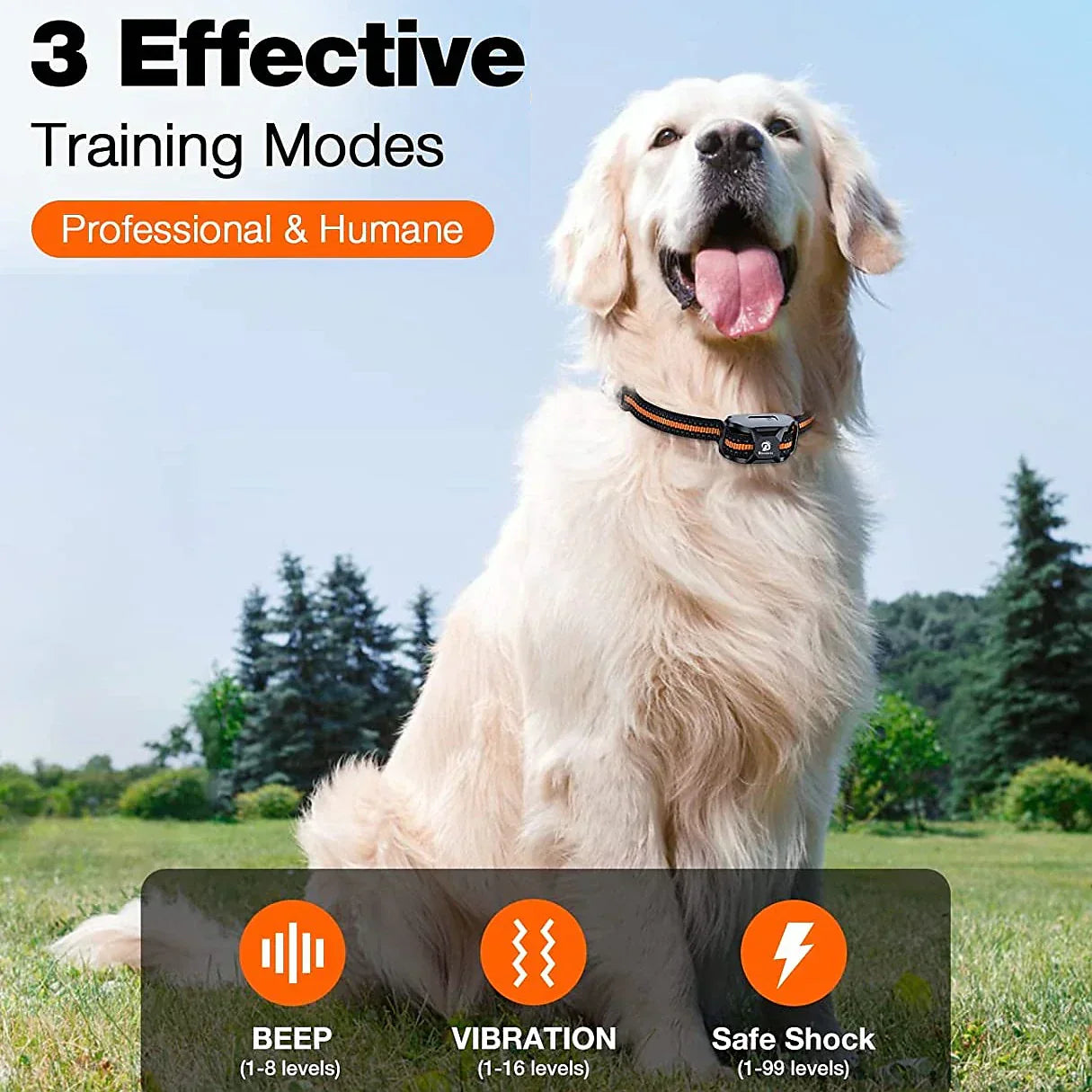 Maximal Control Training Collar for Effective Training