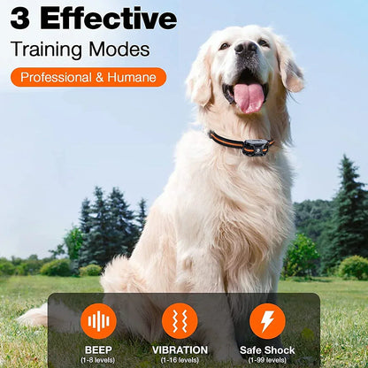 Maximal Control Training Collar for Effective Training