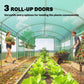 Walk-in tunnel greenhouse – white cover variant
