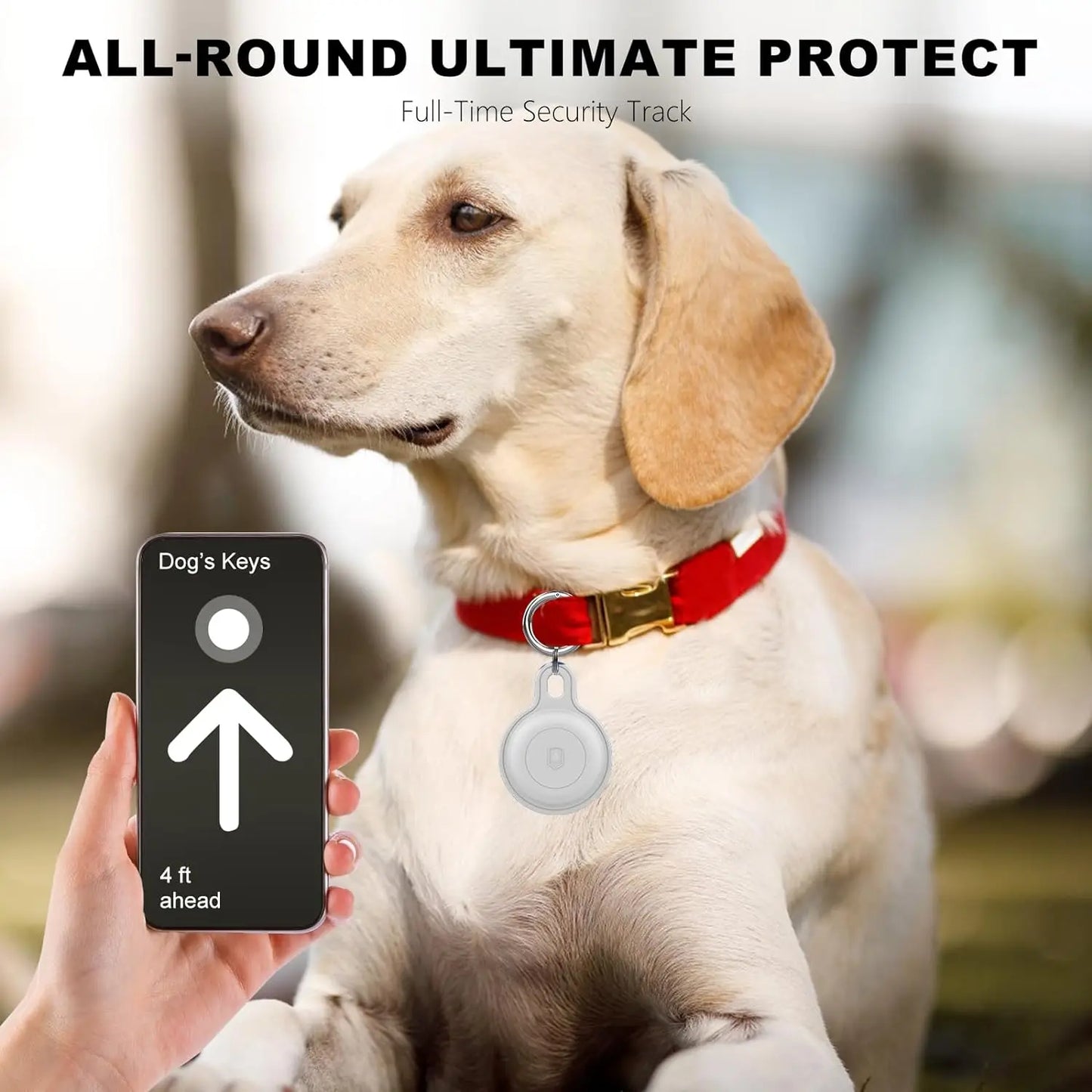 Pawtrack GPS for Worry-Free Adventures