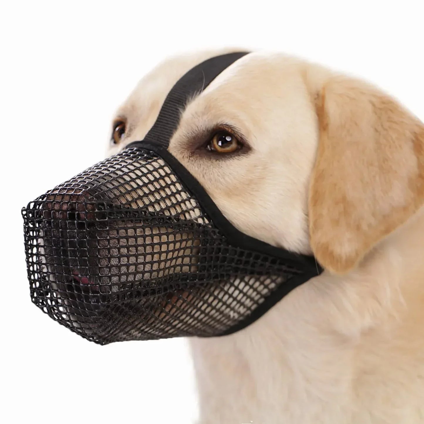 Airmesh Muzzle for Soft and Comfortable Dog Muzzle