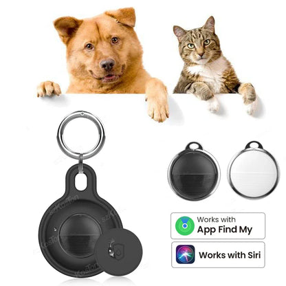 Pawtrack GPS for Worry-Free Adventures