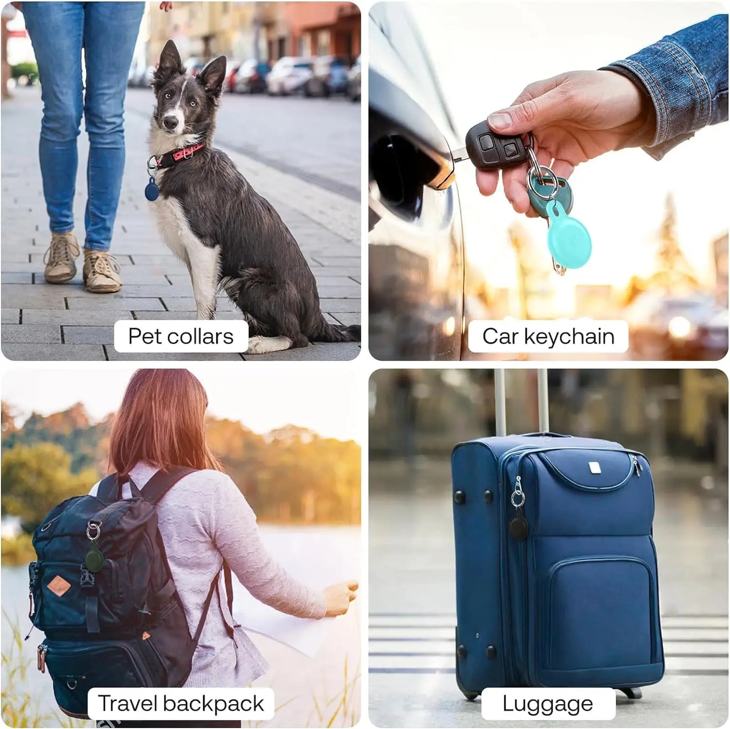 Pawtrack GPS for Worry-Free Adventures