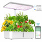 Smart WiFi Hydroponic Growing System