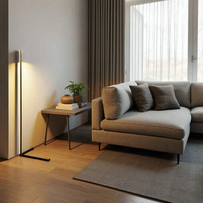 Light with Minimalist LED Floor Lamp with Dimmable Settings and Modern Linear Design