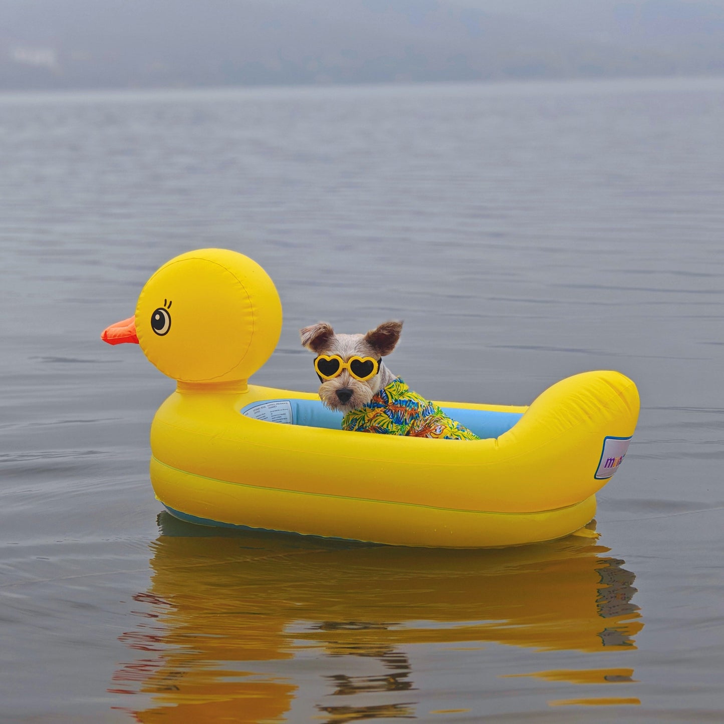 Ring with Inflatable Duck Shaped Swimming Design for Dogs for Safe Water Fun