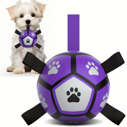 Dog with Rubber Play Ball with Handles for Indoor and Outdoor Use