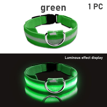 Dog with LED Collar with Lighting for Visible and Safe at Night