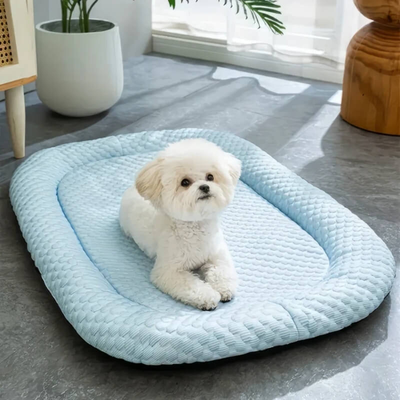 Dog with Cooling Bed with Temperature Regulation and Non-Slip for Summer Days