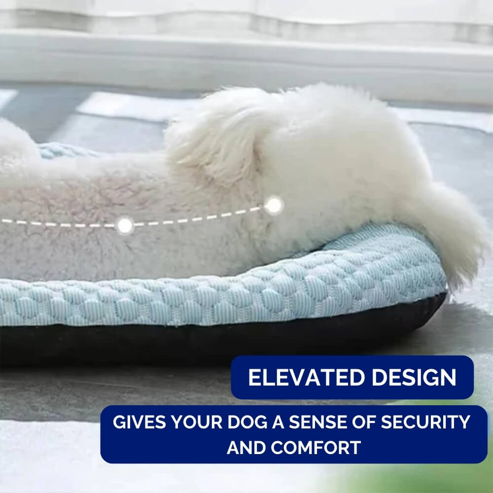Dog with Cooling Bed with Temperature Regulation and Non-Slip for Summer Days