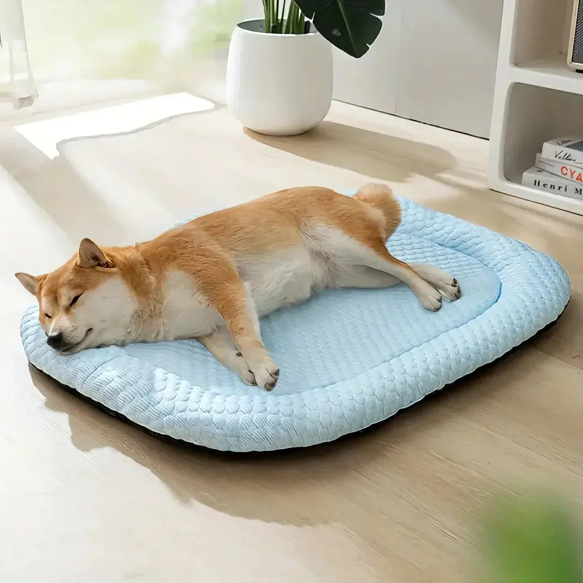 Dog with Cooling Bed with Temperature Regulation and Non-Slip for Summer Days