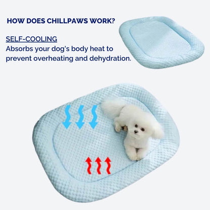Dog with Cooling Bed with Temperature Regulation and Non-Slip for Summer Days