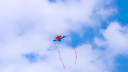 Parrot Kite with Large Colourful Wings and Long Tail Ribbons