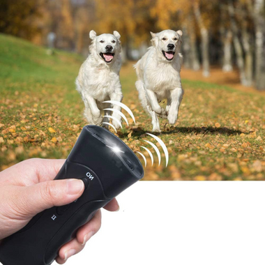 Dog with Ultrasonic Trainer for Safe Tool Against Excessive Barking