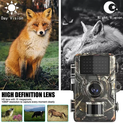 Camera with Outdoor Wildlife Night Vision for Reliable and Weatherproof