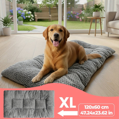 Cushion with Comfortable Dog Design for Dogs with Soft Filling and Padded Sleeping Surface
