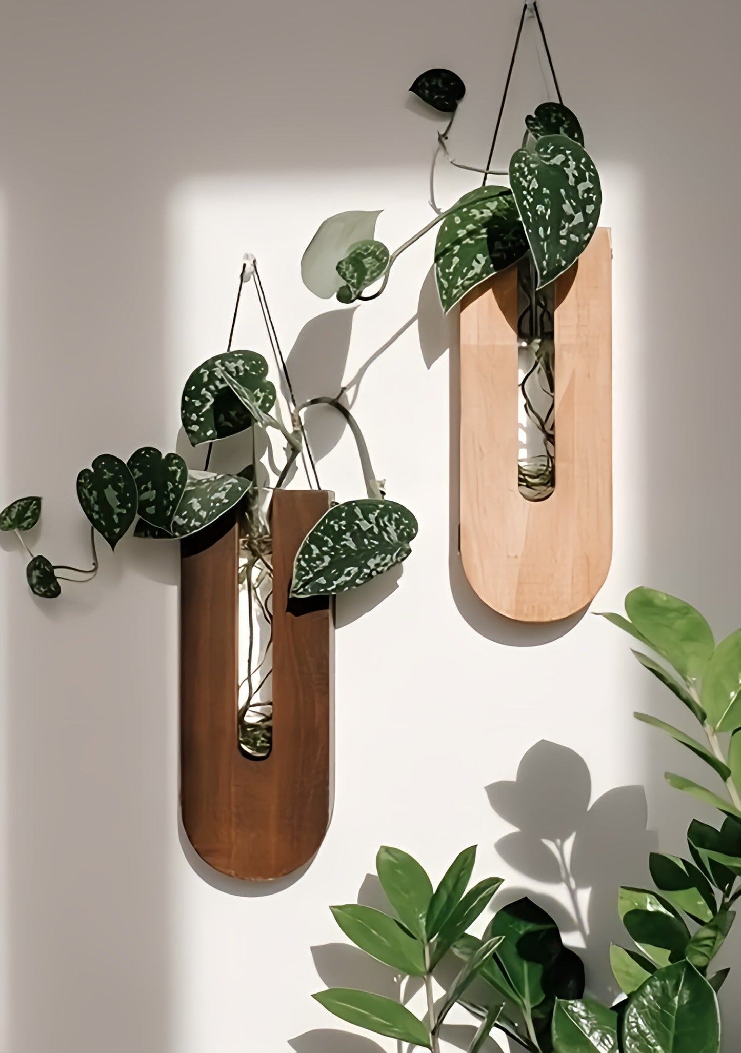 Holder with Wooden Wall Plant Set for Houseplants with Minimalist and Natural Design