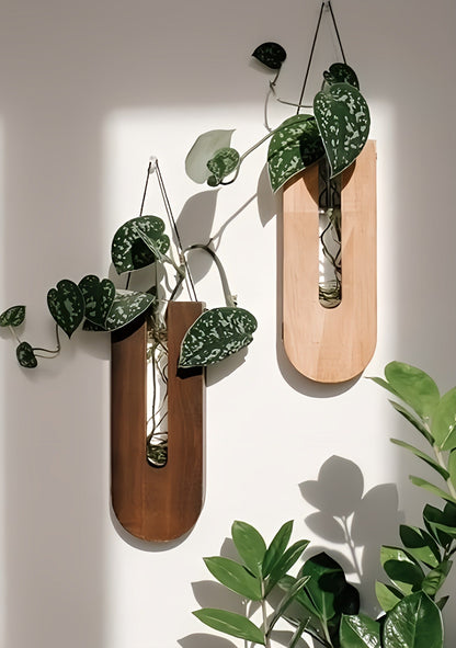 Holder with Wooden Wall Plant Set for Houseplants with Minimalist and Natural Design
