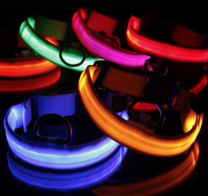 Dogsafe Pro for LED Collar for Dogs Feel Safe and Stylish While Walking