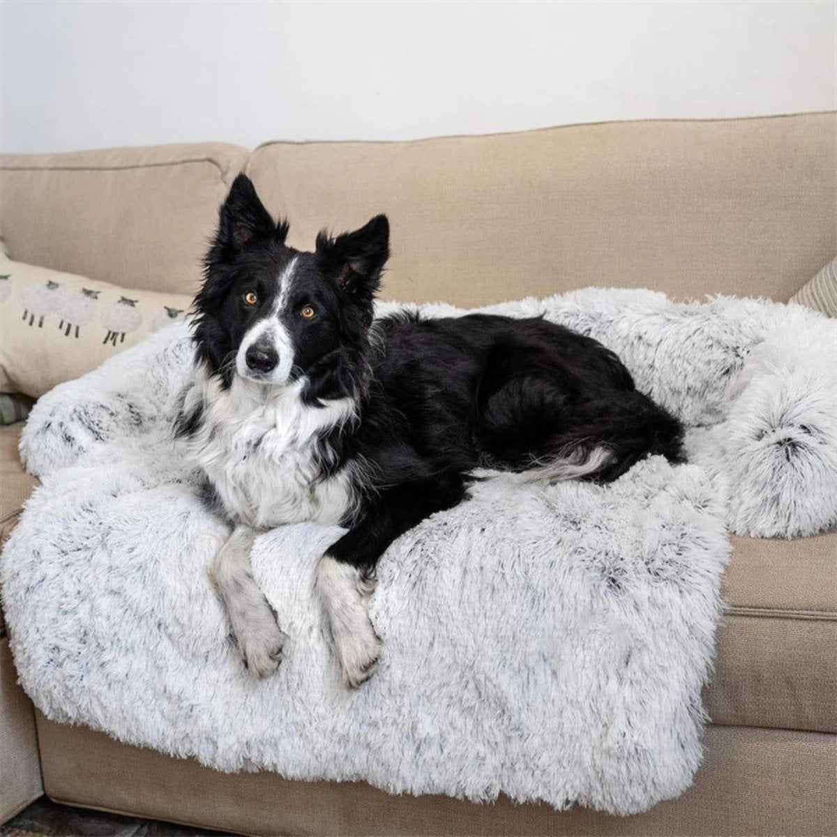 Soft Dog Bed with Raised Edge for Optimal Rest and Comfort
