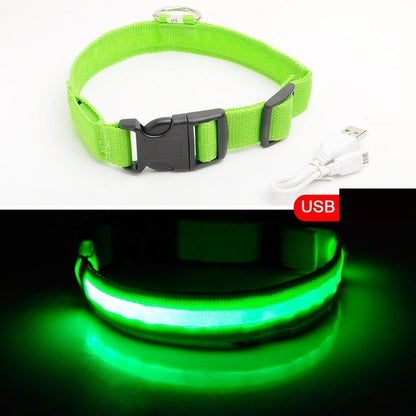 Dogsafe Pro for LED Collar for Dogs Feel Safe and Stylish While Walking