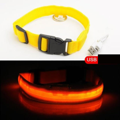 Dogsafe Pro for LED Collar for Dogs Feel Safe and Stylish While Walking