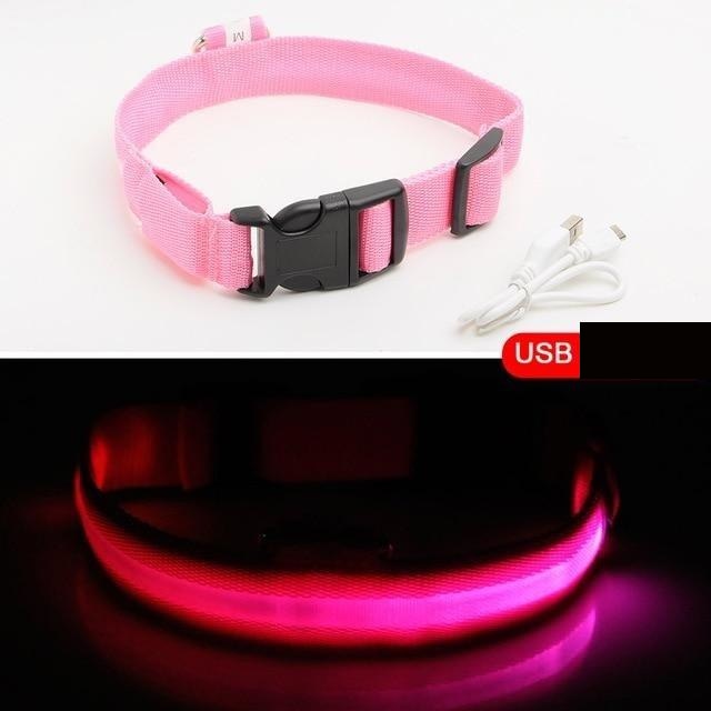 Dogsafe Pro for LED Collar for Dogs Feel Safe and Stylish While Walking