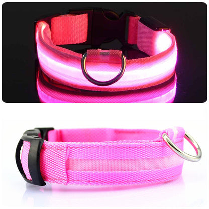 Dogsafe Pro for LED Collar for Dogs Feel Safe and Stylish While Walking