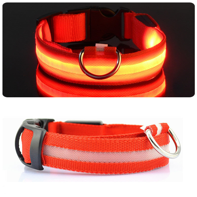 Dogsafe Pro for LED Collar for Dogs Feel Safe and Stylish While Walking