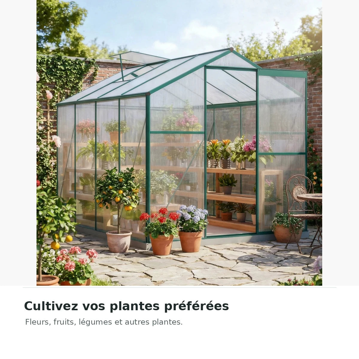 Serre de jardin polycarbonate 4,8 m² avec cadre aluminium – fleurs fruits et légumes