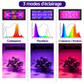 Modes d’éclairage de la lampe horticole