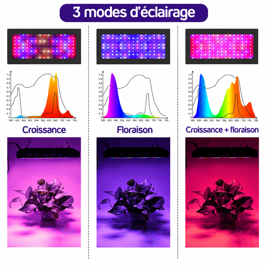Modes d’éclairage de la lampe horticole