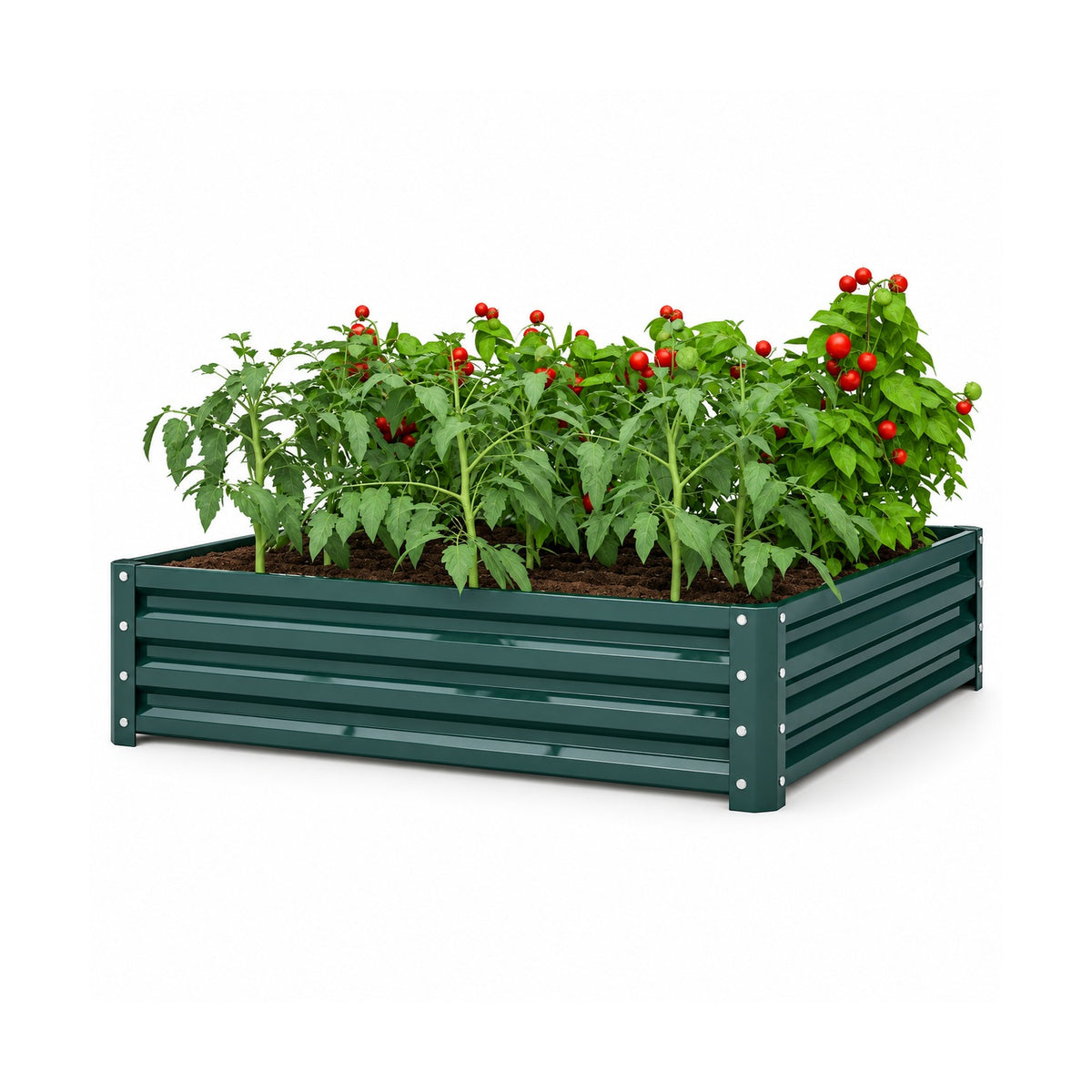 Galvanized steel raised garden bed – dark green square bed with planting example