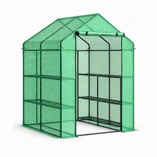 Walk-in greenhouse with shelves – empty shelving and green PE cover