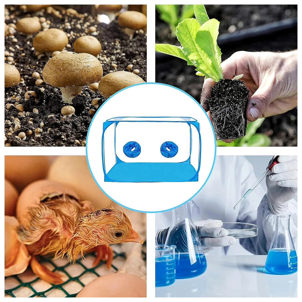 Still Air Box Mushroom Grow Kit – view 8