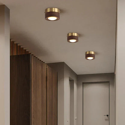 Light with Wooden LED Ceiling Walnut Finish and Minimalist Round Design
